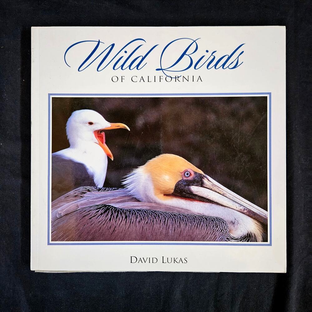 Wild Birds of California By David‎ Luca Paperback